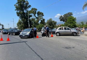 Precipita al suolo ramo d'albero in via Spiaggia. Strada chiusa al traffico e lunghe code