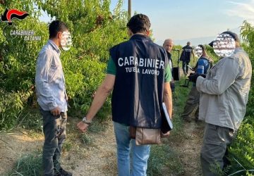 Sfruttamento del lavoro, nel mirino dei Cc una azienda agricola
