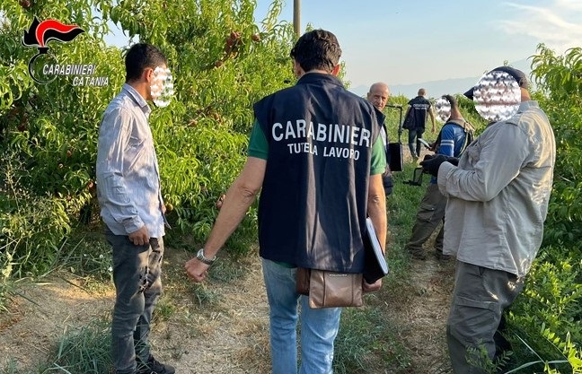 Sfruttamento del lavoro, nel mirino dei Cc una azienda agricola