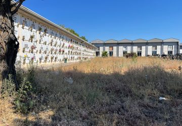 Cimitero di Giarre nel degrado, assediato da sterpaglie e rovi. A rilento la messa in sicurezza di una cappella
