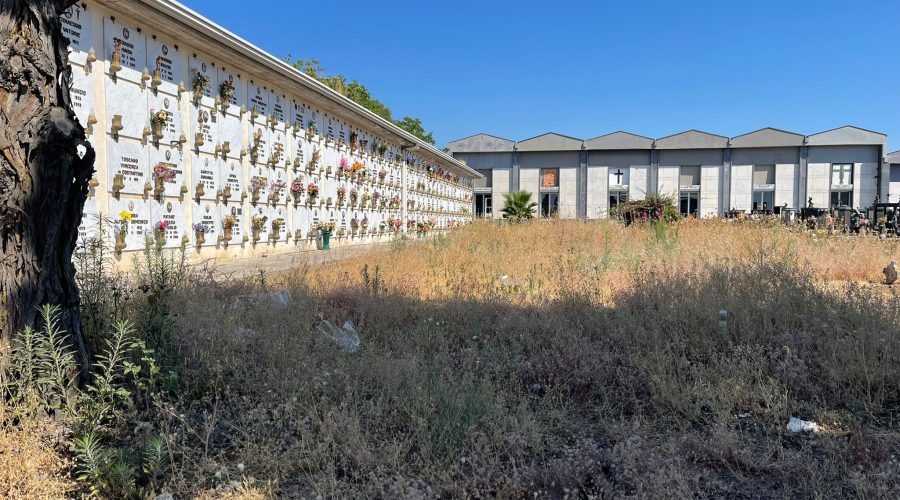 Cimitero di Giarre nel degrado, assediato da sterpaglie e rovi. A rilento la messa in sicurezza di una cappella