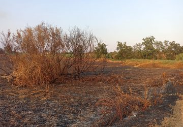 La Gurna di Fondachello distrutta da un incendio. Quale il suo futuro? VIDEO