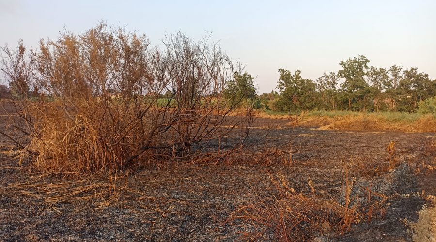 La Gurna di Fondachello distrutta da un incendio. Quale il suo futuro? VIDEO