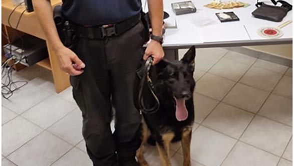 Mascali, nasconde la coca ma il cane antidroga la fiuta nel muro: arrestato 26enne