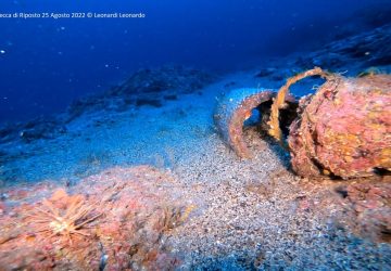 Una spedizione subacquea alla ricerca del vulcano sommerso a largo di Riposto