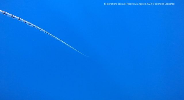 Una spedizione subacquea alla ricerca del vulcano sommerso a largo di Riposto