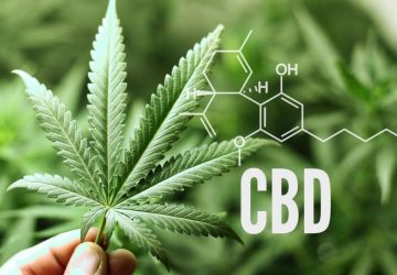 Quale negozio online scegliere nella vendita di CBD? Scopri i 10 punti per un acquisto sicuro