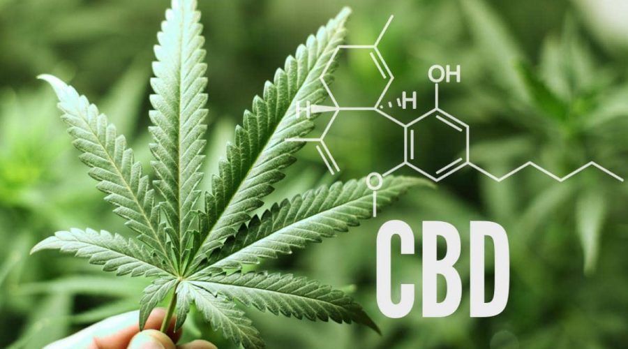 Quale negozio online scegliere nella vendita di CBD? Scopri i 10 punti per un acquisto sicuro