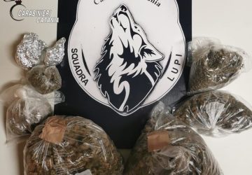 Contrasto all&rsquo;illegalit&agrave; diffusa: due arresti per spaccio di droga