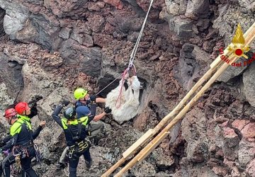 Vigili del fuoco salvano una capretta caduta in un pozzo