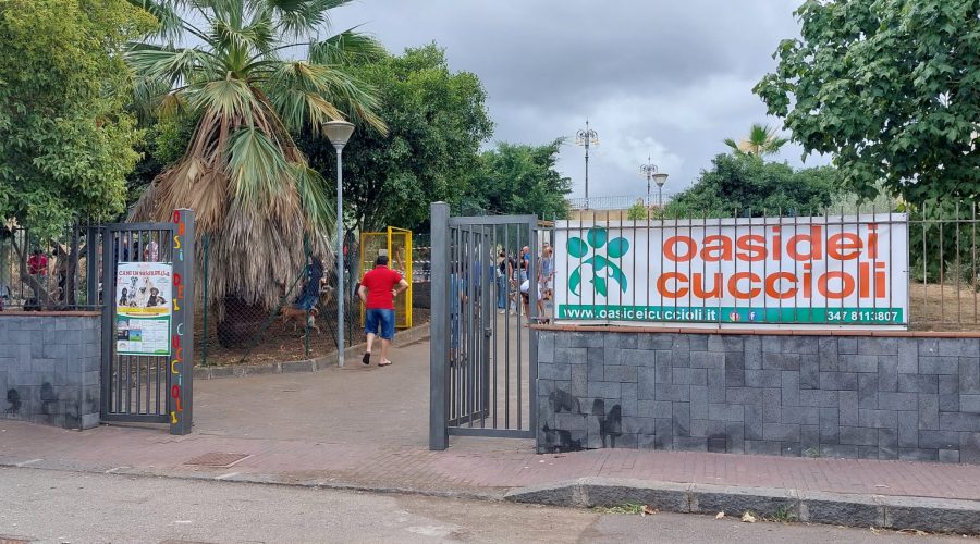 Trepunti, inaugurata l’area di sgambamento Oasi dei cuccioli