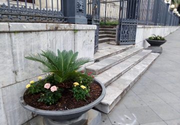 Giarre, commercianti "illuminano " con i fiori piazza Duomo