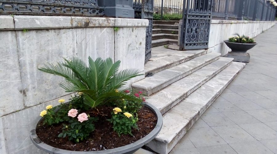 Giarre, commercianti “illuminano ” con i fiori piazza Duomo