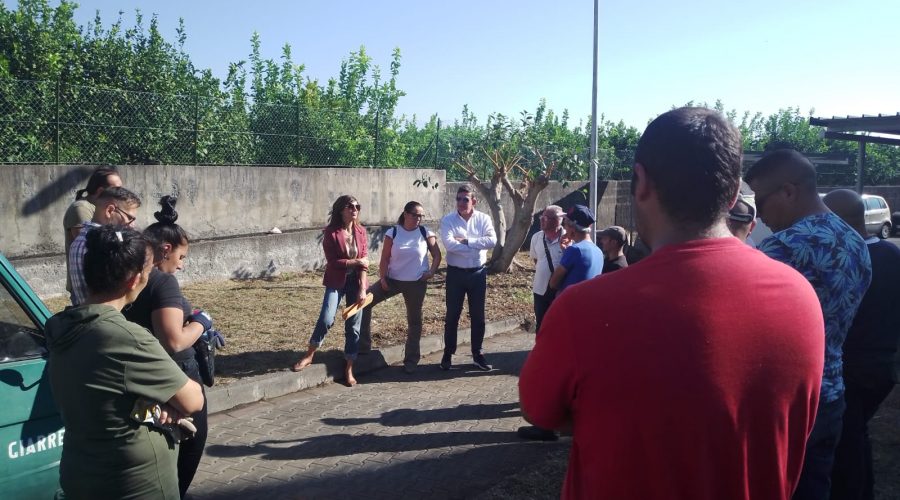 Giarre, percettori del RdC impegnati nella manutenzione del verde