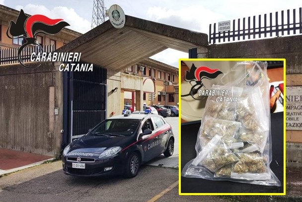 Sorpreso in un terreno mentre cerca di nascondere quasi 100 grammi di marijuana