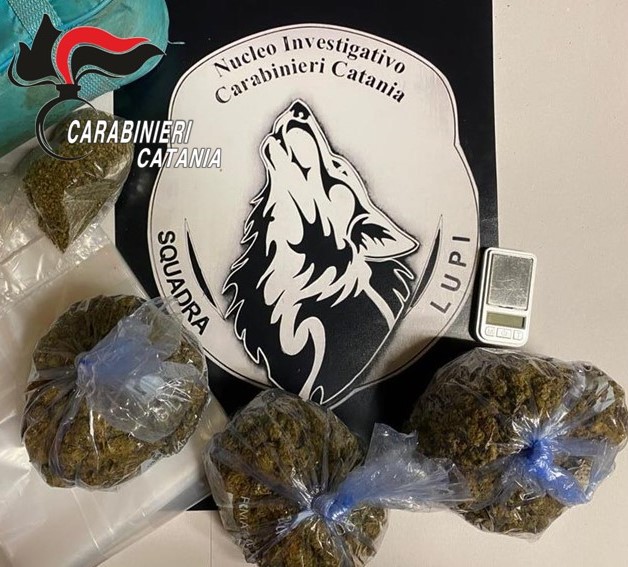 Droga nascosta nei sacchetti per freezer. Arrestato pregiudicato 46enne