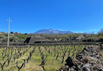 Biancavilla Etna Wine Forum: i vini dell&rsquo;Etna e il territorio protagonisti dal 15 al 17 ottobre