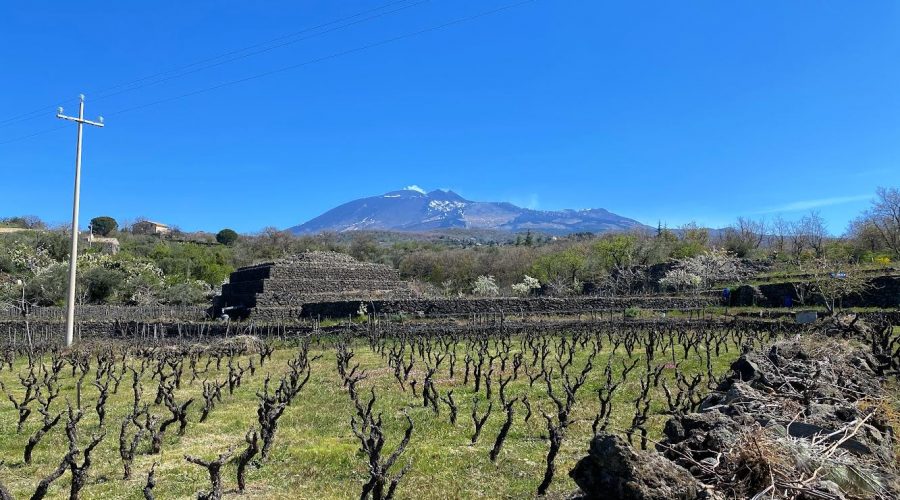 Biancavilla Etna Wine Forum: i vini dell’Etna e il territorio protagonisti dal 15 al 17 ottobre