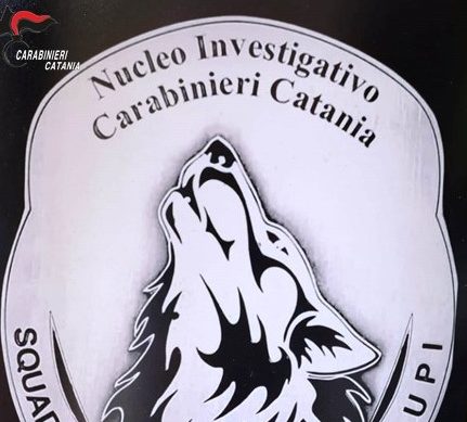 Si era appena rifornito di dosi da consegnare, arrestato pusher