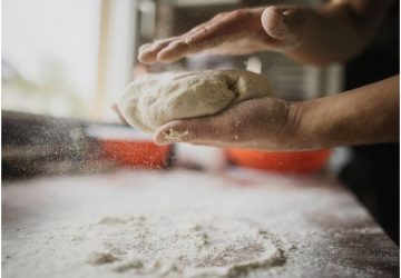 Gli insetti al centro della cucina del futuro