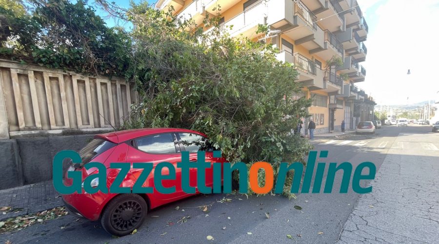VIA VESPRI
