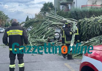 Giarre, forti raffiche di vento: albero precipita su auto in via Moro. Arbusto su vettura in A18: un ferito VIDEO