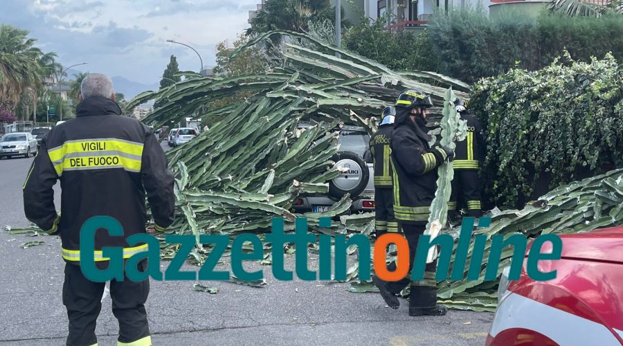 Giarre, forti raffiche di vento: albero precipita su auto in via Moro. Arbusto su vettura in A18: un ferito VIDEO