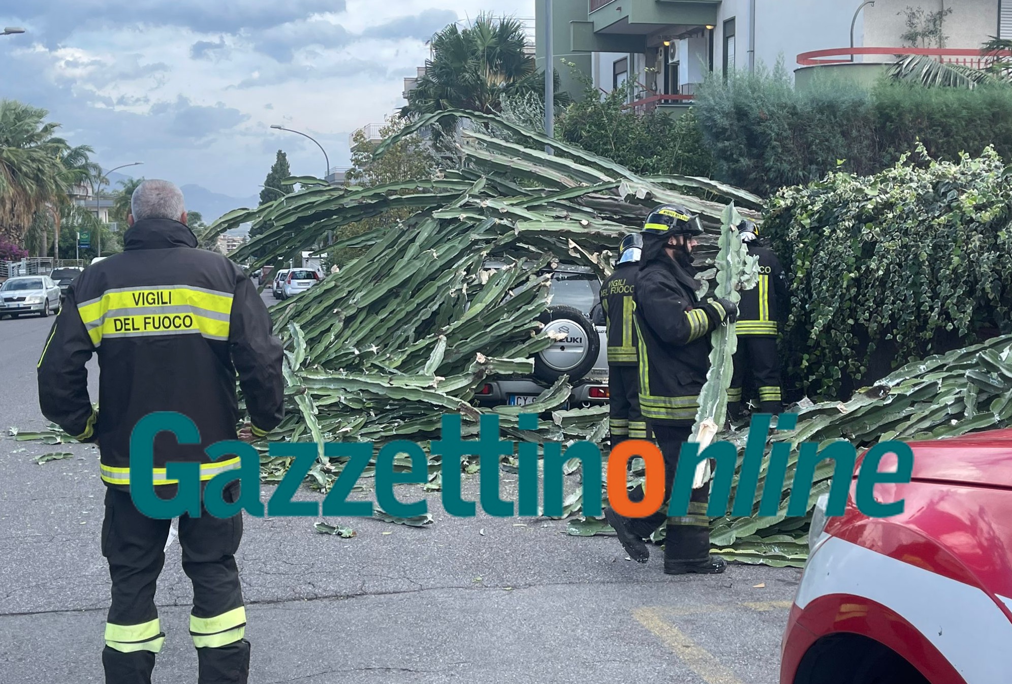 Giarre, forti raffiche di vento: albero precipita su auto in via Moro. Arbusto su vettura in A18: un ferito VIDEO