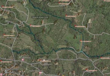 Giarre, un canile comunale in area confiscata e assegnata al Comune