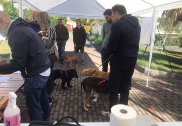 Giarre, successo del microchip gratuito nell'area di sgambamento di Trepunti. Sabato 26 arrivano i "cani carabinieri" e i "cani finanzieri"
