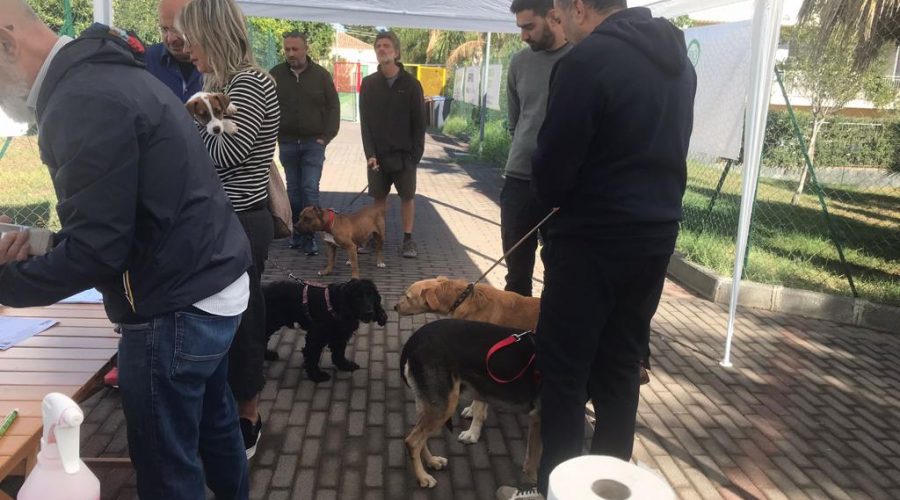 Giarre, successo del microchip gratuito nell’area di sgambamento di Trepunti. Sabato 26 arrivano i “cani carabinieri” e i “cani finanzieri”