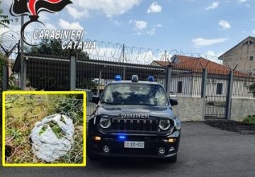 Giarre, beccati col sacco pieno di avocadi: due arresti