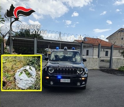 Giarre, beccati col sacco pieno di avocadi: due arresti