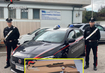 Spara ad un cane randagio con il fucile della moglie: due denunciati
