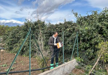 Cani avvelenati Altarello: Partito Animalista presenta denuncia in Procura. Taglia di 2mila euro a chi indica il colpevole