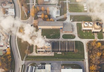 SOS inquinamento, la guida degli animali-sentinella per cambiare rotta