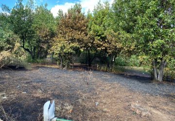 Giarre, parco Jungo inagibile e senza futuro