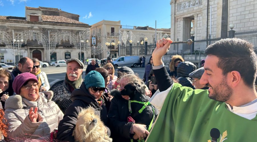 Giarre, benedizione degli animali in piazza Duomo: 50cani microchippati