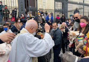 Giarre, la benezione degli animali in piazza Duomo con microchippatura gratuita