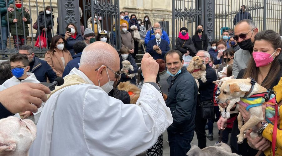 Giarre, la benezione degli animali in piazza Duomo con microchippatura gratuita