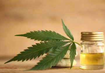 Quali sono gli effetti della cannabis legale?