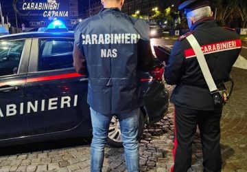 Controlli ai ristoranti e alla circolazione stradale