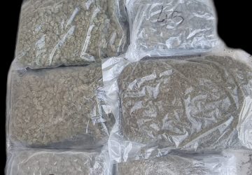 Sette chili di marijuana in casa:  arrestato  dalla Polizia