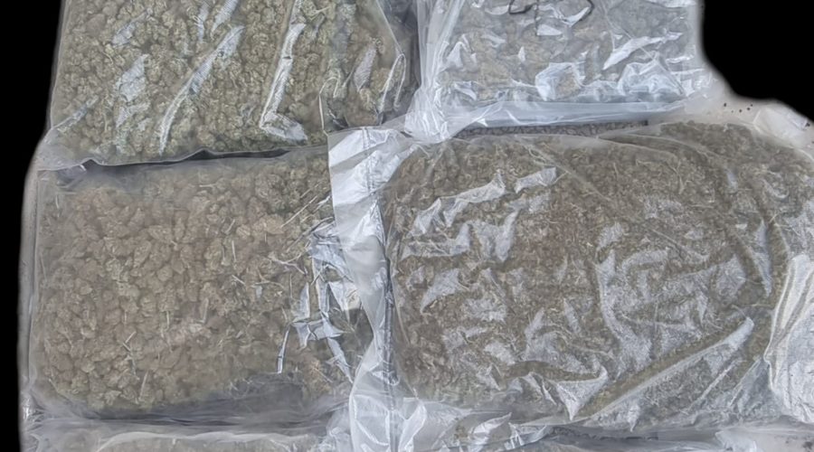 Sette chili di marijuana in casa:  arrestato  dalla Polizia