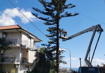 Mascali, programmata potatura e messa in sicurezza alberi alto fusto