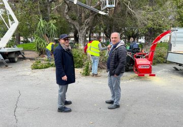 Riposto, al via la potatura degli alberi negli spazi verdi