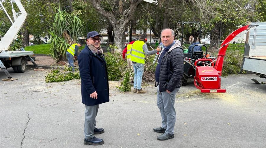Riposto, al via la potatura degli alberi negli spazi verdi