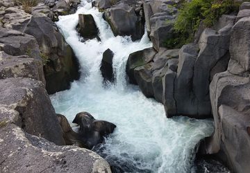 Parco Fluviale dell&rsquo;Alcantara, al via "Primavera in cammino"