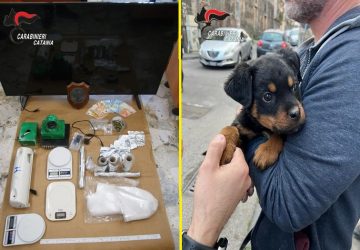 Il cucciolo &ldquo;Dante&rdquo; a difesa del fortino della droga: 5 arresti VIDEO