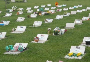 Sicilia, proposto disegno di legge per istituire i cimiteri per gli animali d&rsquo;affezione